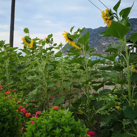 Eleni * Kefalos (Kos)
